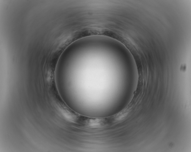 X0000092020134200709061601