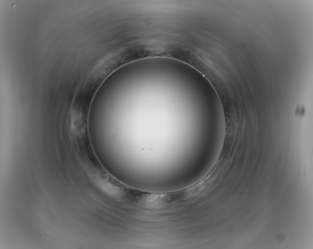 X0000092020136200709061601