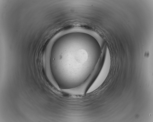 X0000092020137200709061601