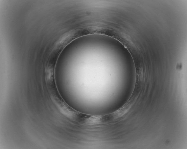 X0000092020138200709061601