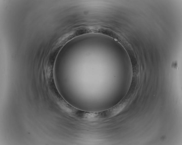 X0000092020139200709061601