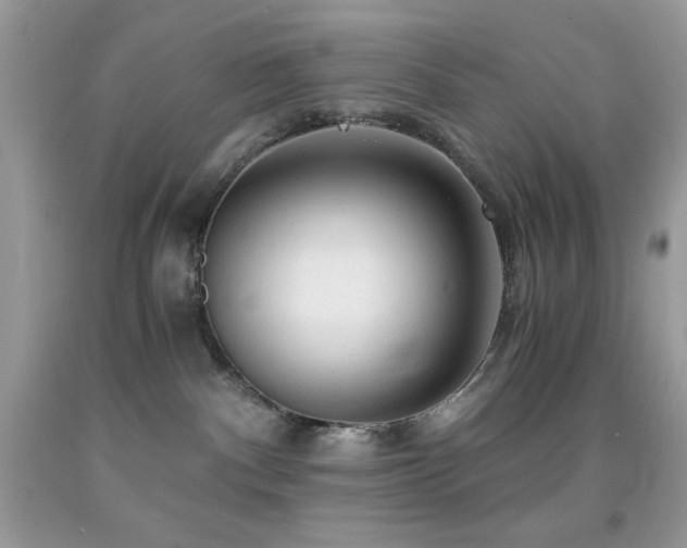 X0000092020140200709061601