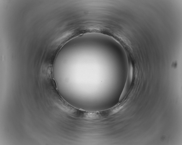 X0000092020141200709061601