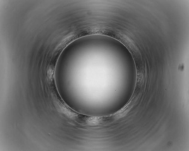 X0000092020142200709061601