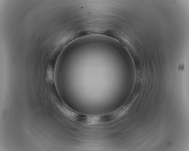 X0000092020143200709061601