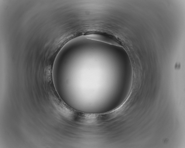 X0000092020144200709061601