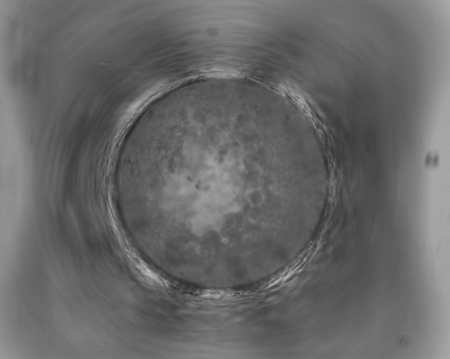 X0000092020145200709061600