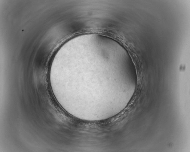 X0000092020146200709061600