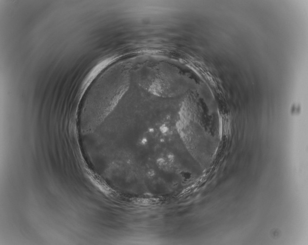 X0000092020147200709061600