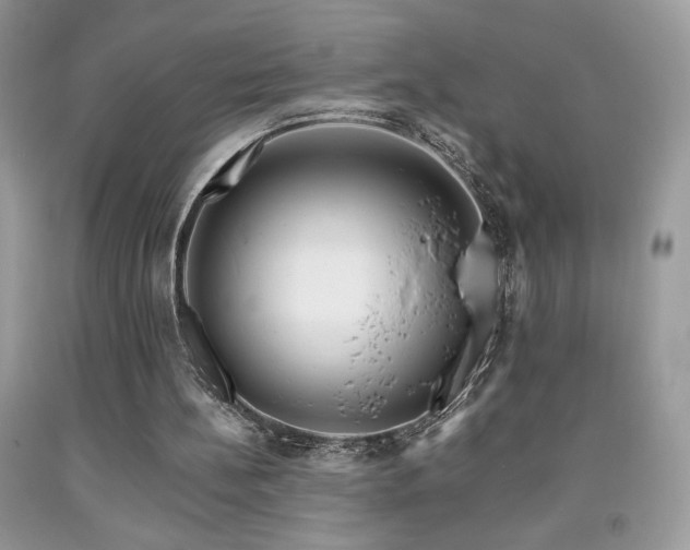 X0000092020148200709061600