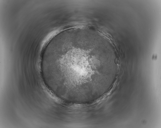 X0000092020149200709061600