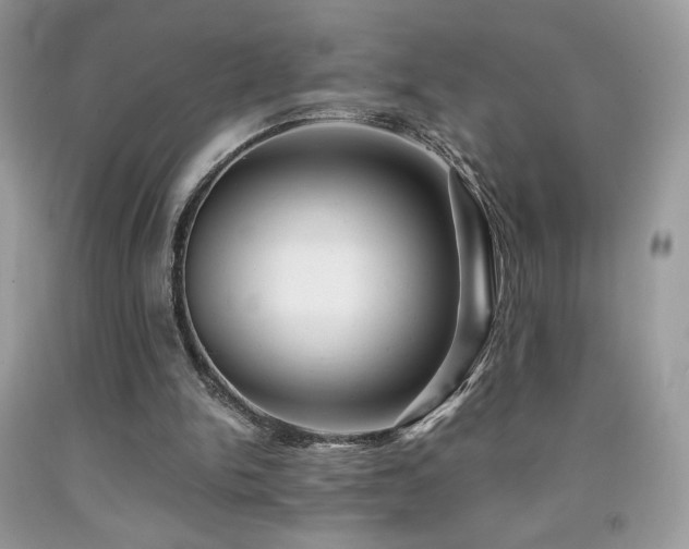 X0000092020150200709061600