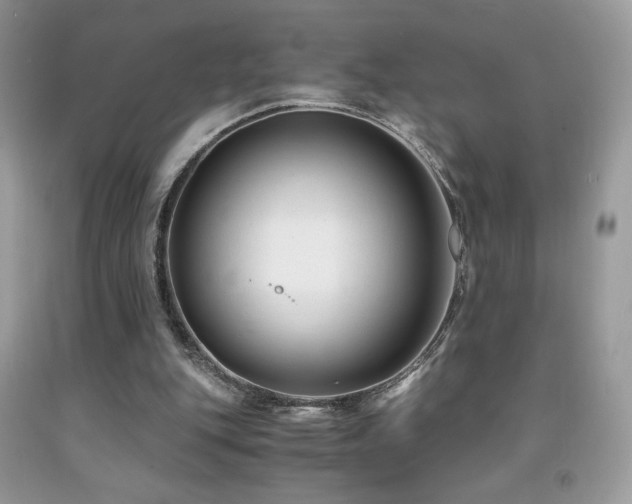 X0000092020151200709061600