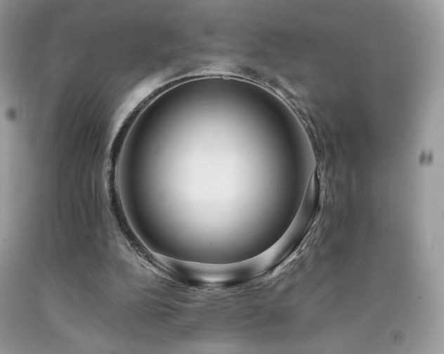 X0000092020152200709061600