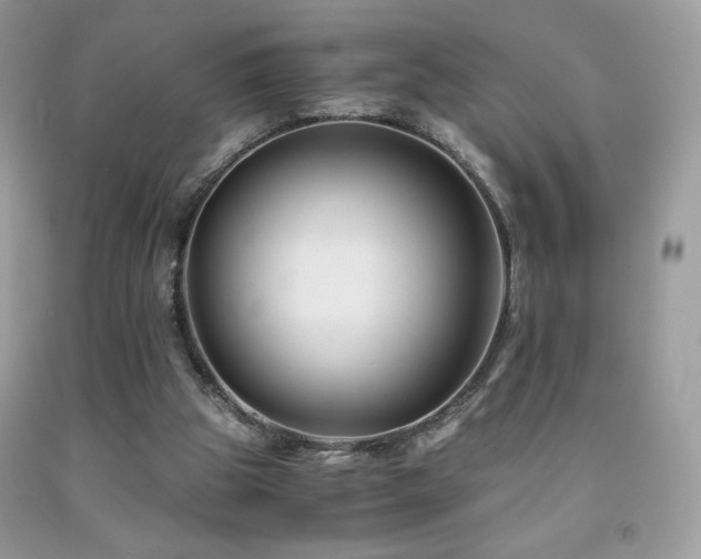 X0000092020153200709061600