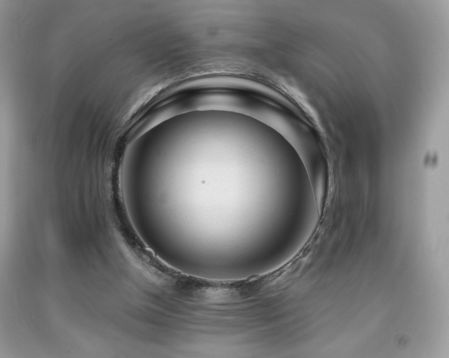 X0000092020154200709061600