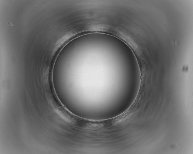 X0000092020155200709061600