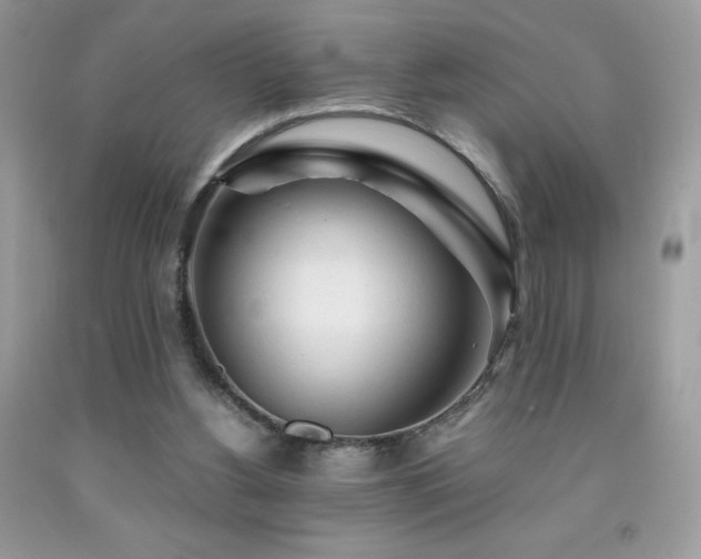 X0000092020156200709061600