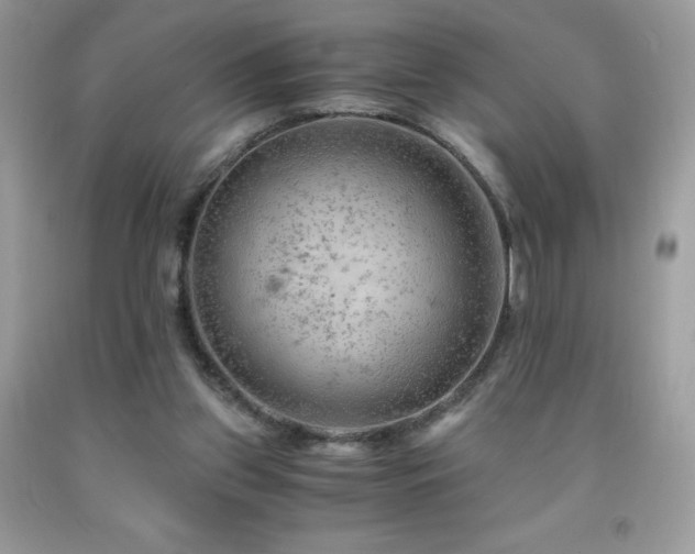 X0000092020157200709061600