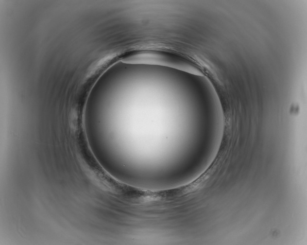 X0000092020158200709061600