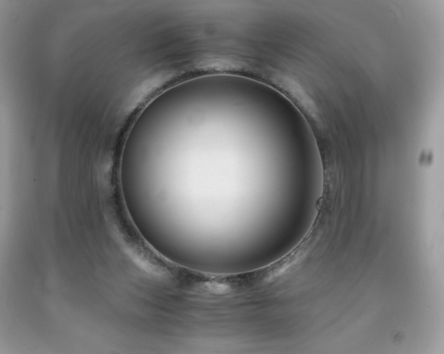 X0000092020159200709061600