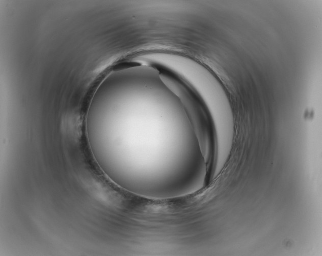 X0000092020160200709061600