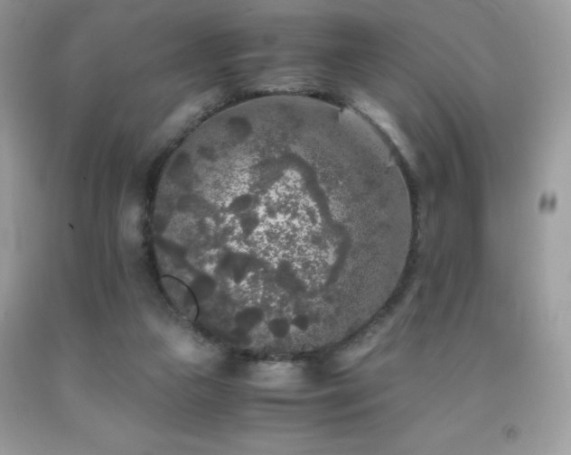 X0000092020161200709061600