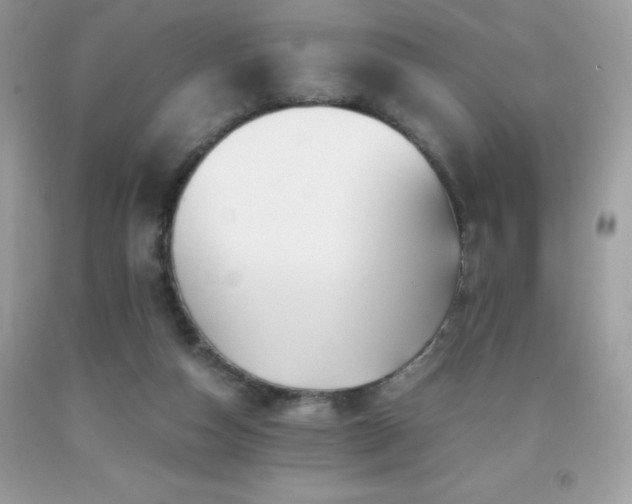 X0000092020162200709061600