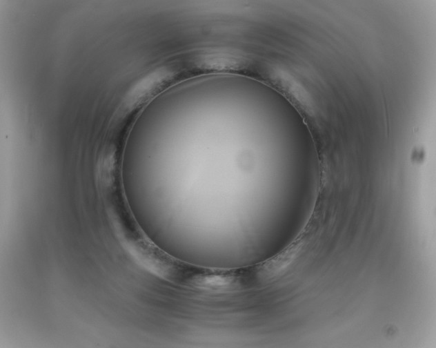 X0000092020163200709061601
