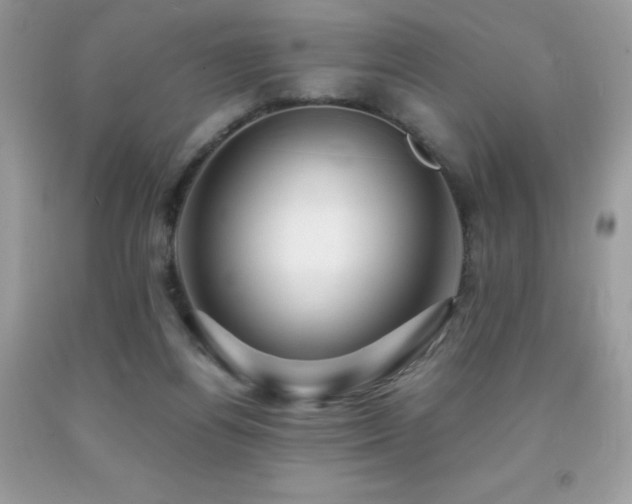 X0000092020164200709061601