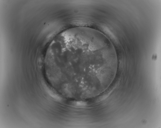 X0000092020165200709061601