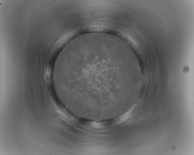 X0000092020166200709061601