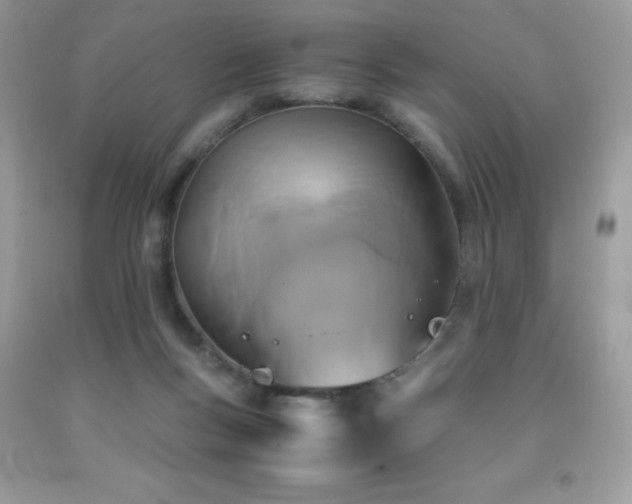 X0000092020167200709061601