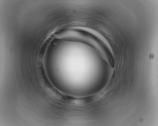 X0000092020168200709061601