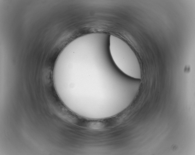 X0000092020169200709061601