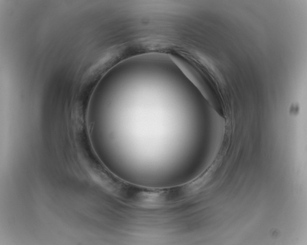 X0000092020170200709061601