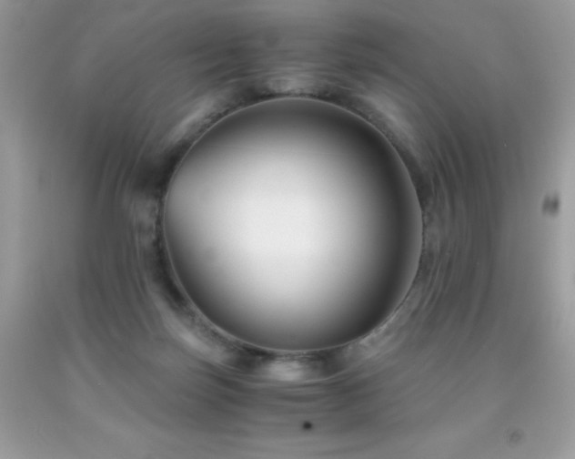X0000092020171200709061601