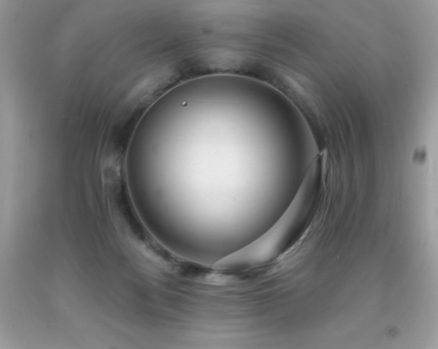X0000092020172200709061601