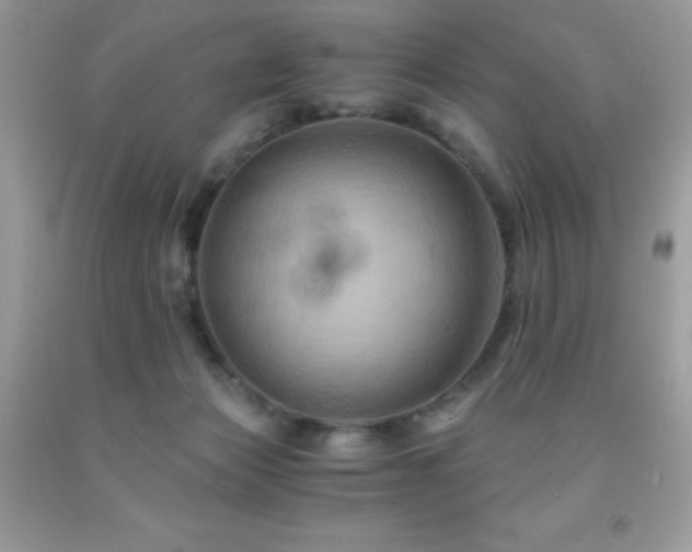 X0000092020173200709061601