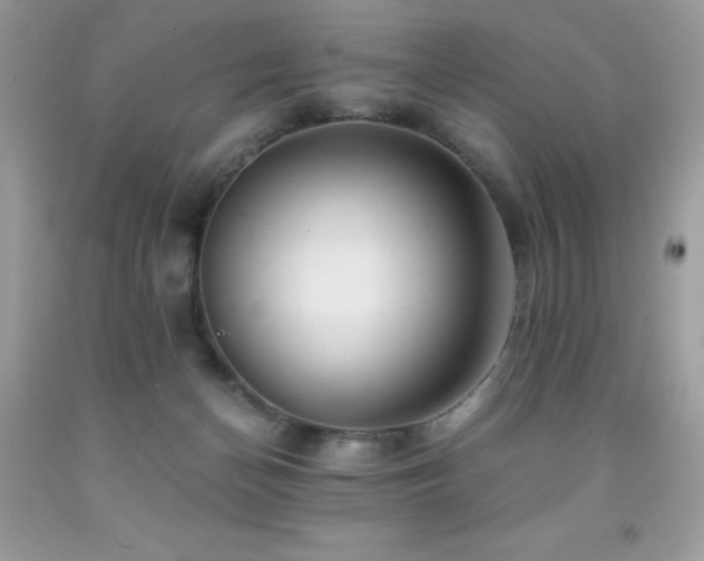 X0000092020174200709061601
