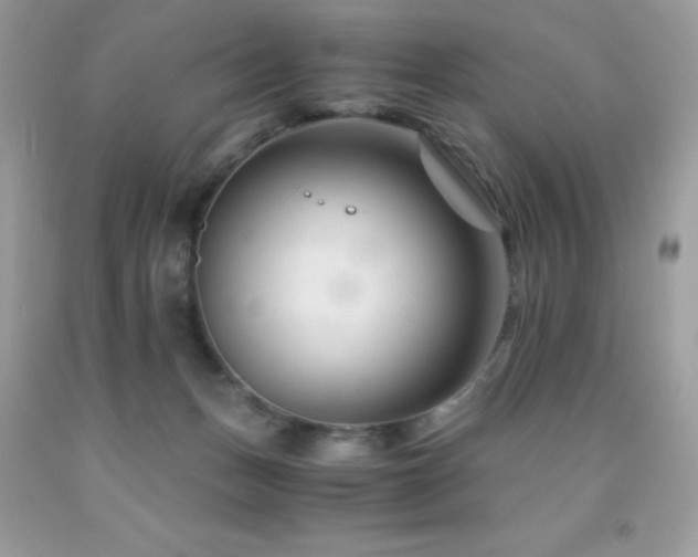 X0000092020175200709061601