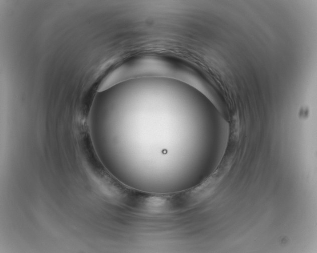 X0000092020176200709061601