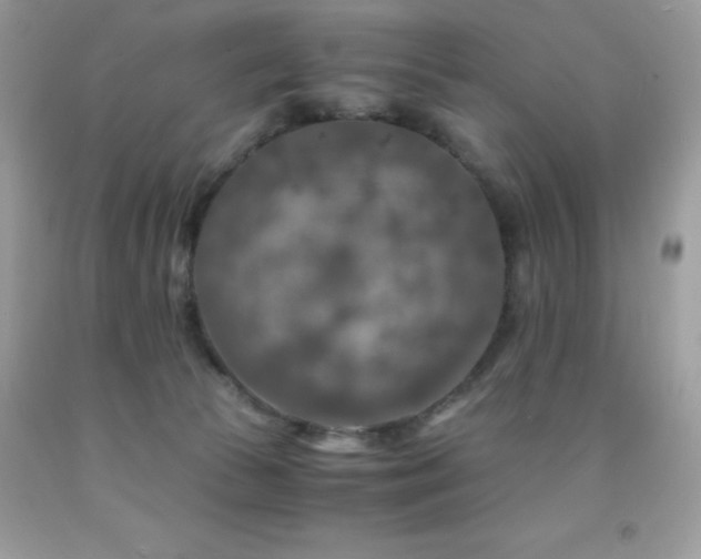 X0000092020177200709061601