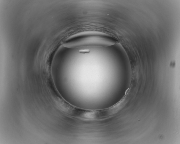 X0000092020178200709061601