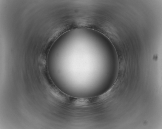 X0000092020179200709061601