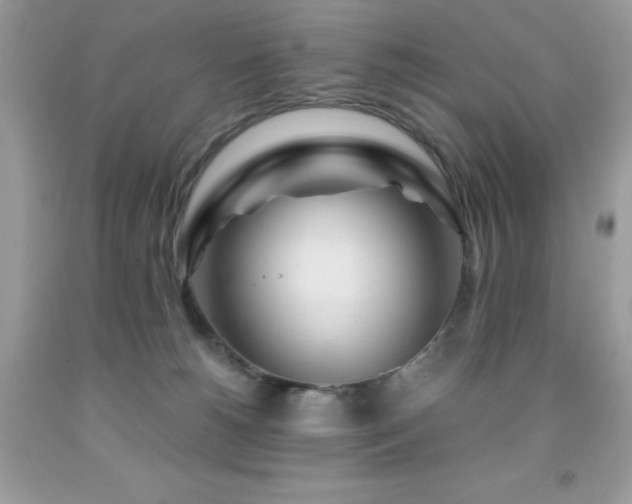 X0000092020180200709061601