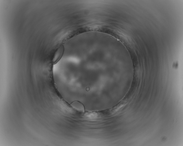 X0000092020181200709061601