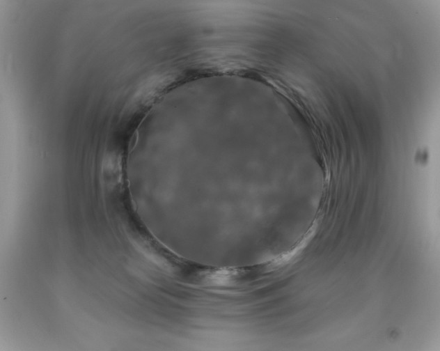 X0000092020182200709061601