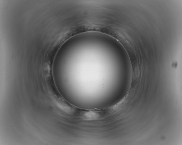 X0000092020183200709061601