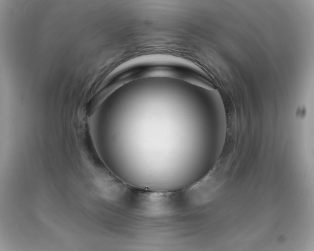 X0000092020184200709061601